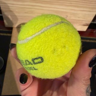 Lote 5 Pelotas Tenis / Padel HEAD