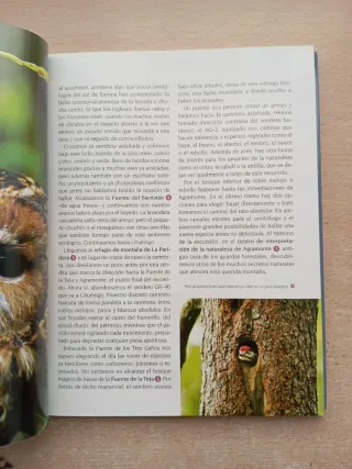 Rutas para observar aves. Eduardo Viñuales.