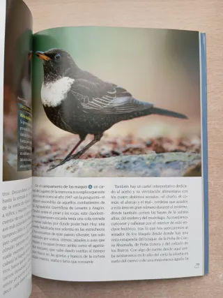Rutas para observar aves. Eduardo Viñuales.