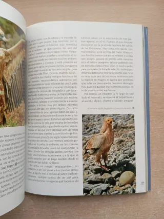 Rutas para observar aves. Eduardo Viñuales.