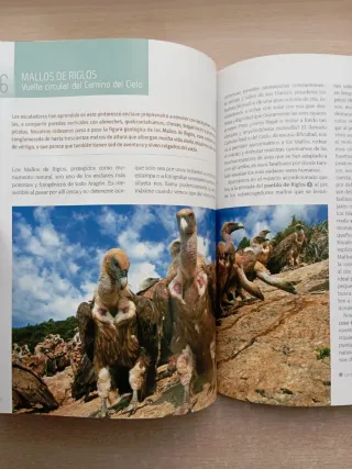 Rutas para observar aves. Eduardo Viñuales.