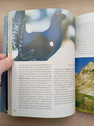 Rutas para observar aves. Eduardo Viñuales.