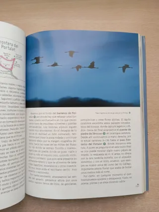 Rutas para observar aves. Eduardo Viñuales.