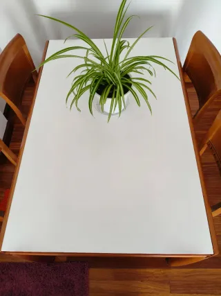 Mesa y 4 Sillas Madera Maciza