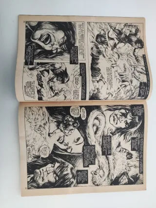 THE SAVAGE SWORD OF CONAN 34 THE BARBARIAN