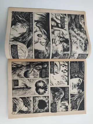 THE SAVAGE SWORD OF CONAN 34 THE BARBARIAN