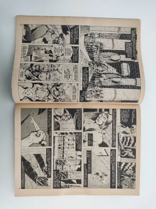 THE SAVAGE SWORD OF CONAN 34 THE BARBARIAN