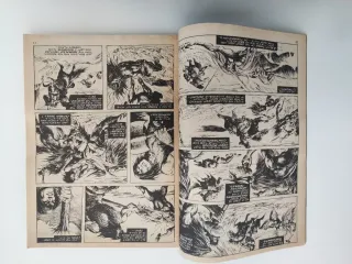 THE SAVAGE SWORD OF CONAN 34 THE BARBARIAN