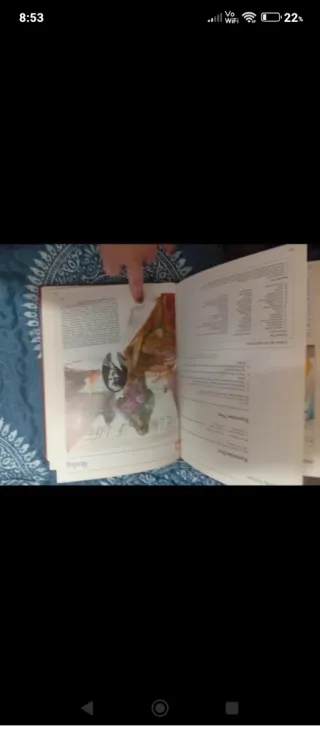 Curso de Inglés Diccionario Español-Inglés