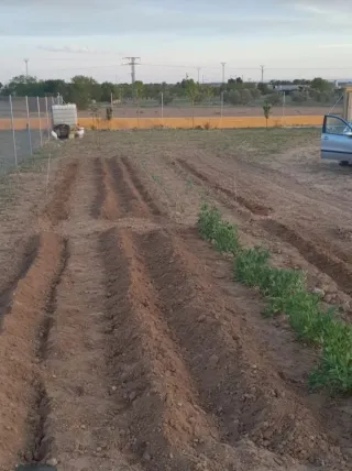 TERRENO CON POZO, IDEAL PARA COMPARTIR