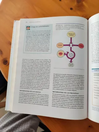 Estructura y función del cuerpo humano