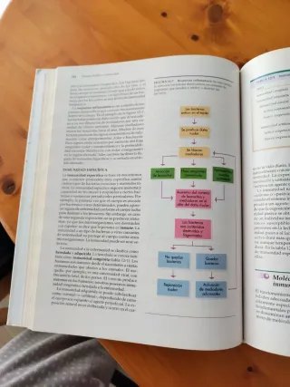 Estructura y función del cuerpo humano