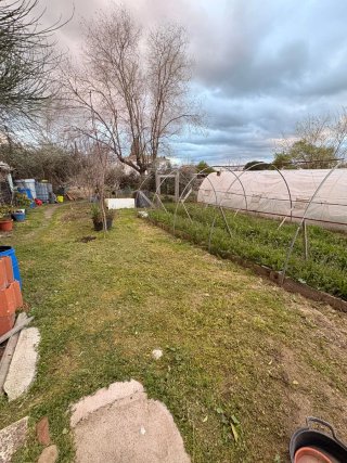 Servicio de desbroce y limpieza de parcelas