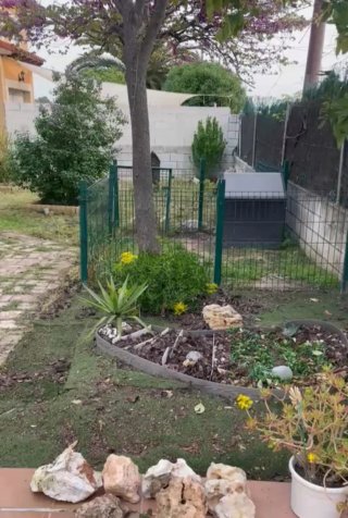 Servicio de desbroce y limpieza de parcelas