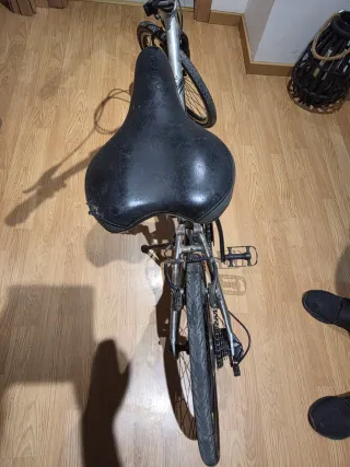 Bicicleta Plegable Plata