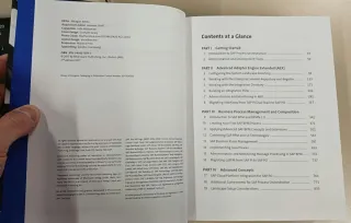 Libro SAP Process Orchestration oficial