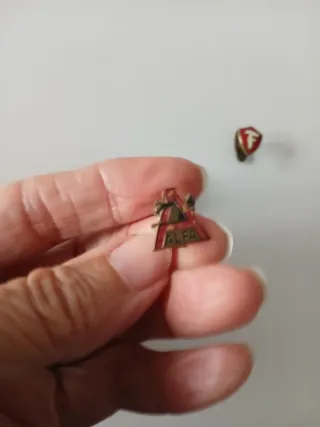 Lote insignias antiguas (más 60 años)cada una 3 €