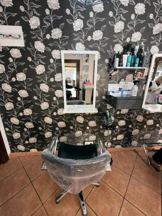 Sillón Peluquería Profesional