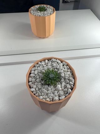 Mini Suculenta Telaraña Maceta Diseño