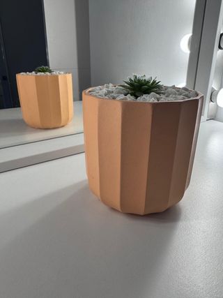 Mini Suculenta Telaraña Maceta Diseño