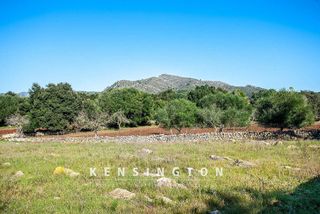 Terreno en venta en Artà en Artà