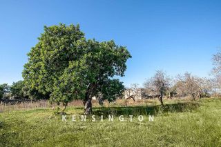 Terreno en venta en Artà en Artà