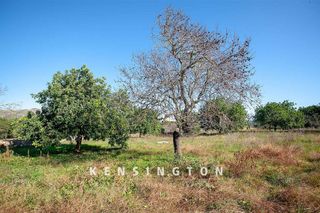 Terreno en venta en Artà en Artà