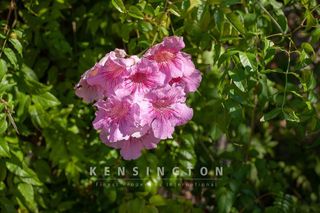 Terreno en venta en Artà en Artà