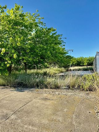 Terreno en venta en Vilallonga del Camp