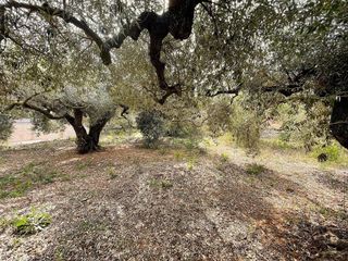 Terreno en venta en Nord en Sant Carles de la Ràpita