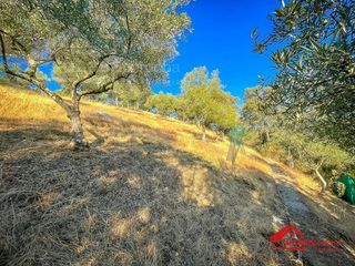 Casa rural en venta en Villaviciosa de Córdoba