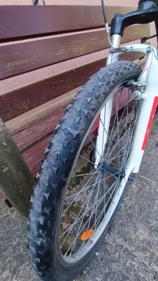 Bicicleta Rockrider 5.1 Montaña