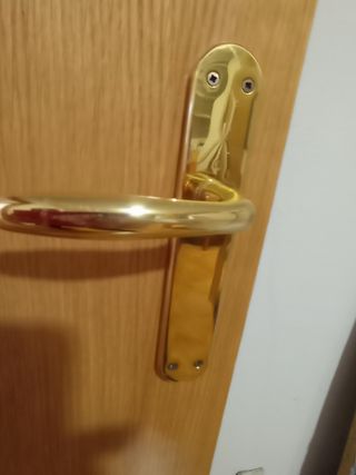 Puerta madera maciza con manilla dorada