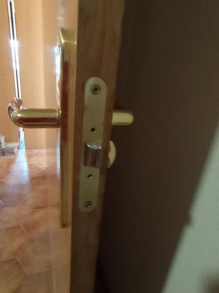 Puerta madera maciza con manilla dorada