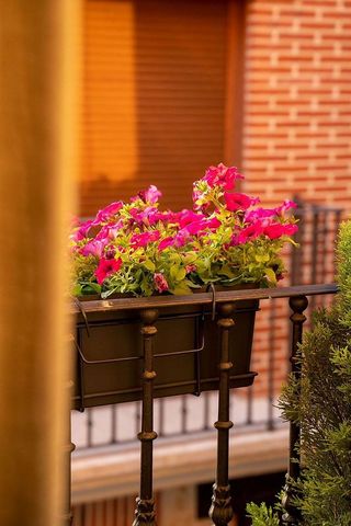 Dúplex en venta en Centro en Aranda de Duero