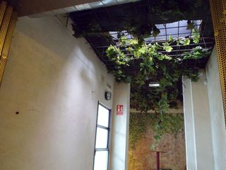 Local comercial en alquiler en Recoletos en Madrid