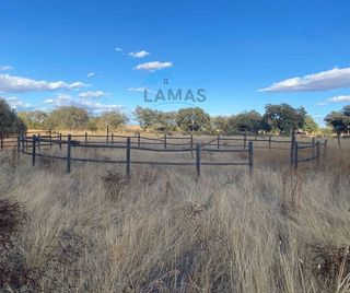 Terreno en venta en Navalmoral de la Mata