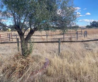 Terreno en venta en Navalmoral de la Mata