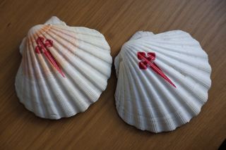 Conchiglie decorate a mano