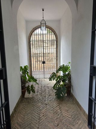 Piso en alquiler en Santa Cruz en Sevilla