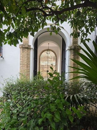 Piso en alquiler en Santa Cruz en Sevilla