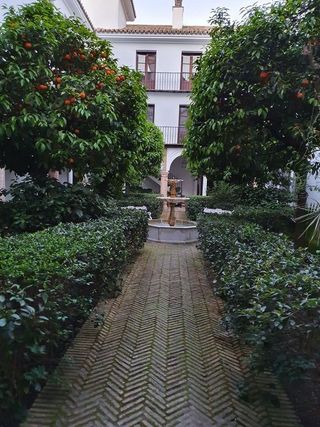 Piso en alquiler en Santa Cruz en Sevilla