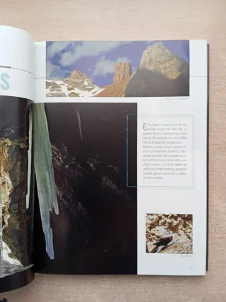 Los tesoros naturales del Pirineo Aragonés.