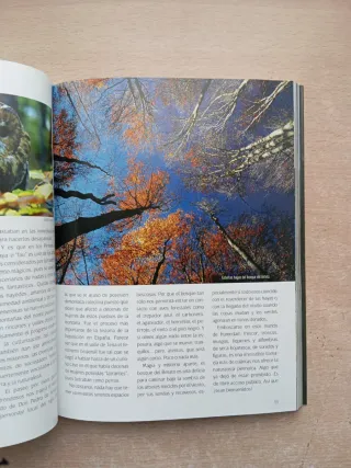 Los tesoros naturales del Pirineo Aragonés.