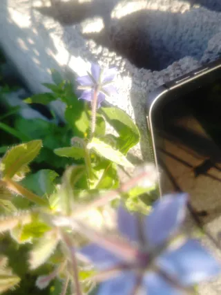 iPad Pro M1 1TB Wi-Fi Cellular 12.9" super cuidado