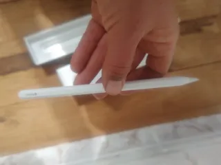 iPad Pro M1 1TB Wi-Fi Cellular 12.9" super cuidado