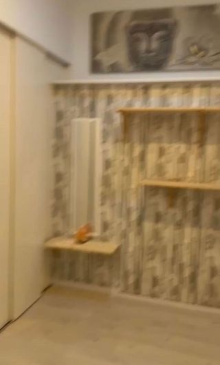 Local comercial en venta en Paseo Marítimo de Levante en Vélez-Málaga