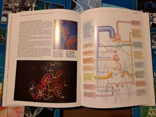Enciclopedia Pianeta Scienza, 12 volumi Mondadori