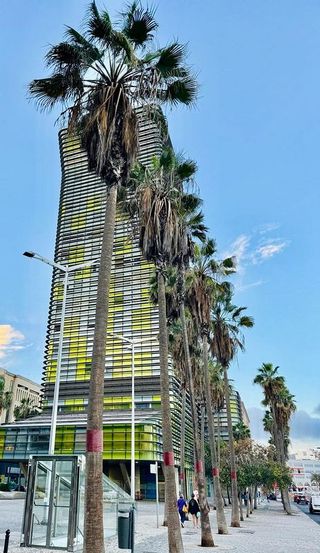 Oficina en alquiler en Santa Catalina - Canteras en Palmas de Gran Canaria(Las)