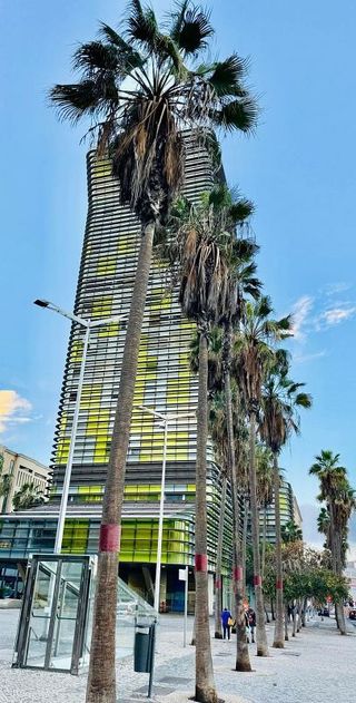 Oficina en alquiler en Santa Catalina - Canteras en Palmas de Gran Canaria(Las)